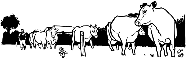 Small herd of cows with farmer and barn in background vinyl sticker. Customize on line.  Agriculture Crops Farming Cows Farm 003-0122  